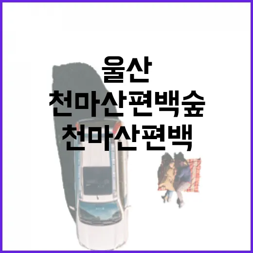 울산 천마산 편백숲과 저수지 산책기