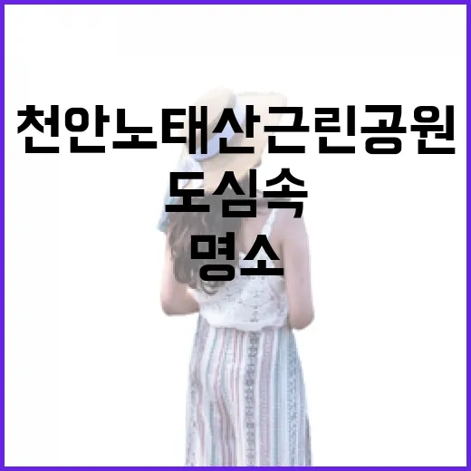 천안 노태산 근린공원, 도심 속 힐링 명소