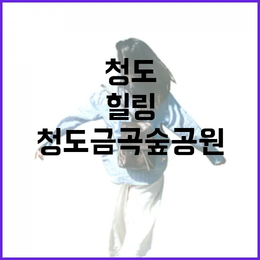 청도금곡숲공원, 고요한 힐링의 숲