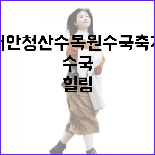 태안 청산수목원 수국축제 힐링 명소