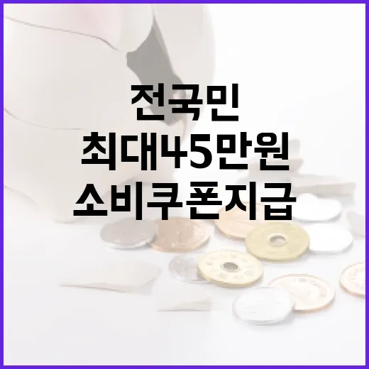 전 국민에 최대 45만 원 소비쿠폰 지급 시작