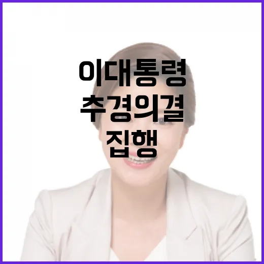 새 정부 첫 추경 의결, 이 대통령 신속 집행 강조