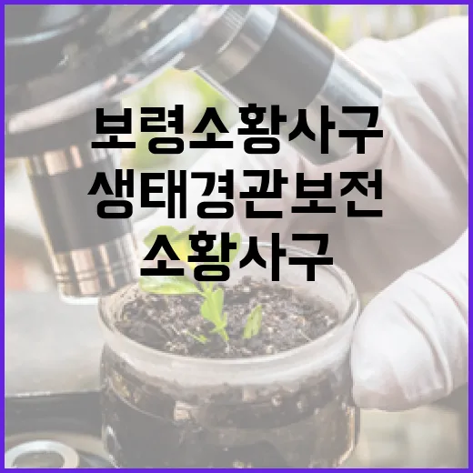 보령 소황사구, 생태경관 보전의 보고