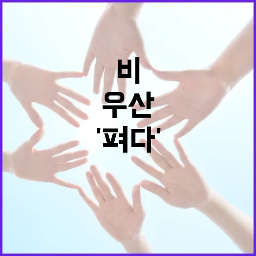 대구시 공유 우산 '펴다'로 비 걱정 끝