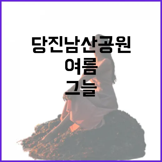 당진 남산공원, 여름 그늘 속 산책 명소