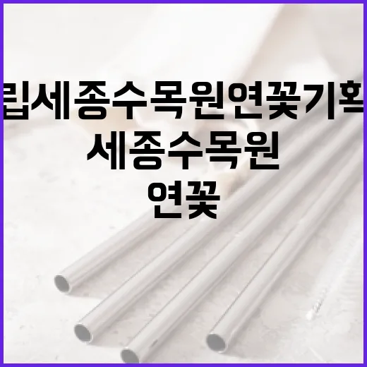 국립세종수목원 연꽃 기획전, 전통과 자연의 만남