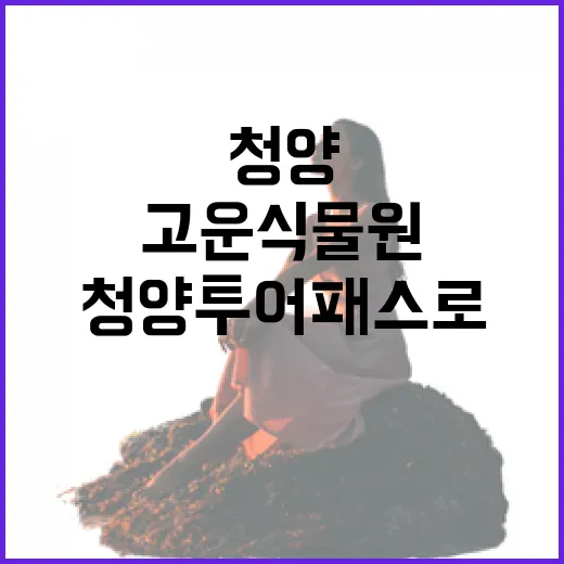 청양투어패스로 즐기는 고운식물원 힐링여행