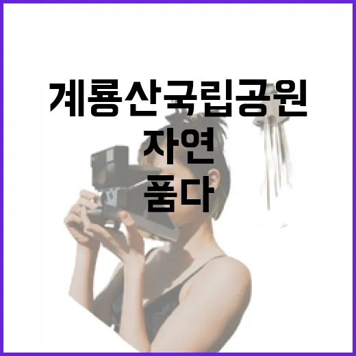 계룡산국립공원, 초록빛 여름의 자연 품다