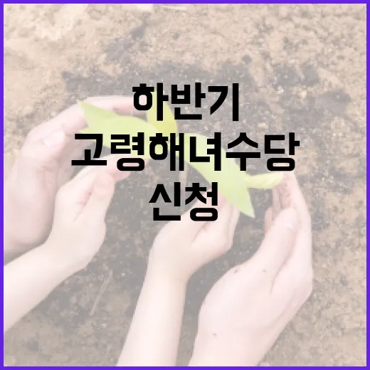 하반기 고령해녀 수당 신청 안내