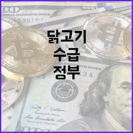 성수기 닭고기 수급과 가격, 정부가 직접 밝힌 진실