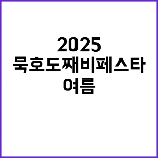 묵호 도째비 페스타 2025, 여름밤의 전설과 즐거움