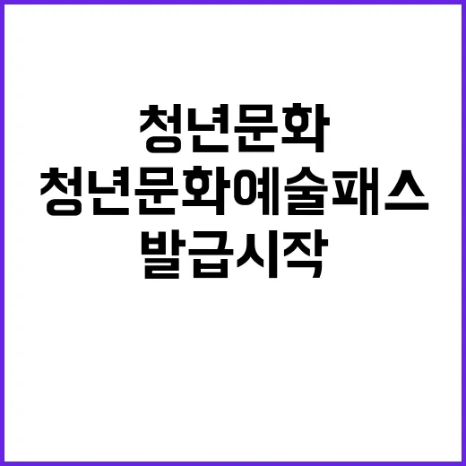 청년 문화예술패스 …