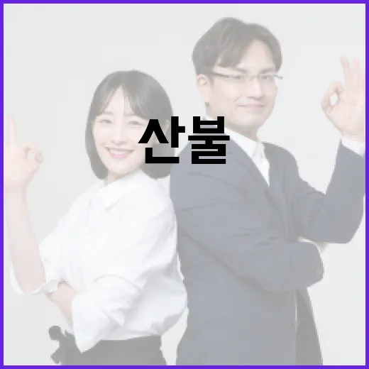 폭염 속 산불 진화 총력전