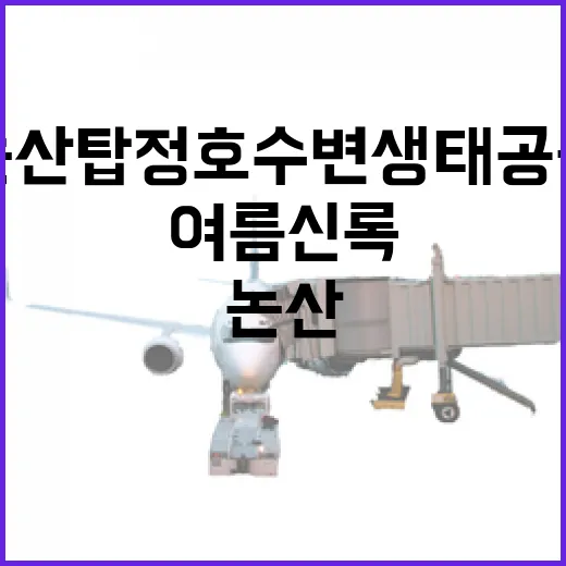 논산 탑정호 수변생태공원 여름 신록의 매력