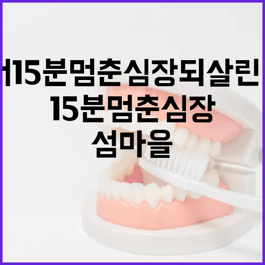 섬마을서 15분 멈춘 심장 되살린 ‘삼박자’