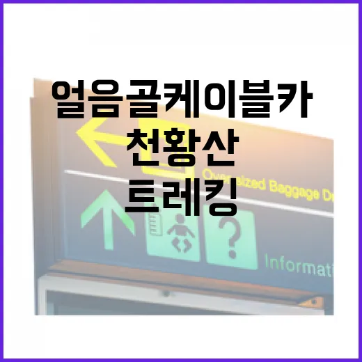 영남알프스 얼음골 케이블카와 천황산 트레킹