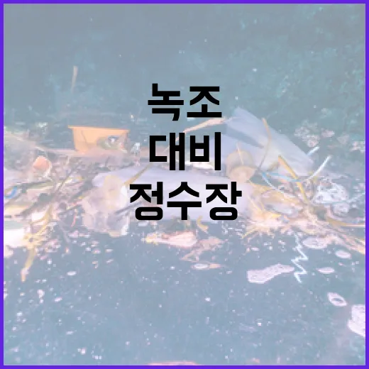 전국 정수장 녹조 대비 실태 점검 결과 발표
