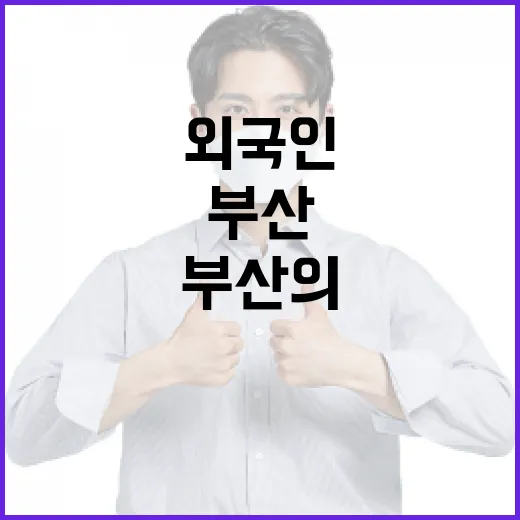 외국인이 말하는 부산의 매력과 삶