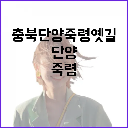 충북 단양 죽령 옛길, 역사와 자연이 어우러진 산책로