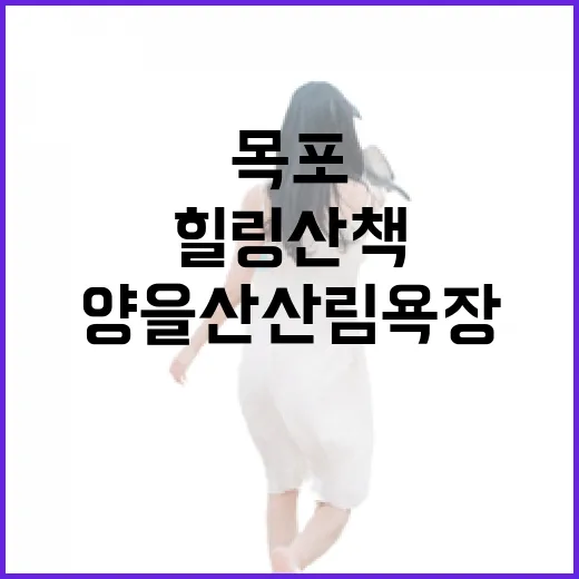 목포 양을산 산림욕장, 힐링 산책 명소