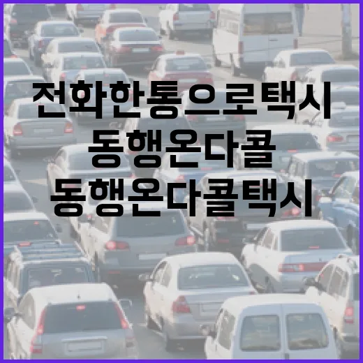 전화 한 통으로 택시 부르는 동행 온다콜택시 시범운영