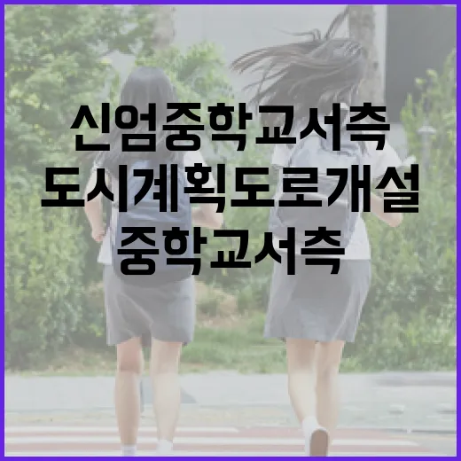 신엄중학교 서측 안전한 도시계획도로 개설