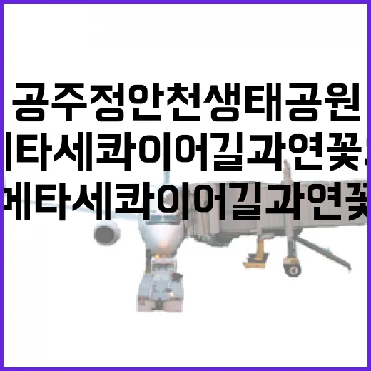 공주 정안천 생태공원, 메타세쿼이아길과 연꽃의 아름다움