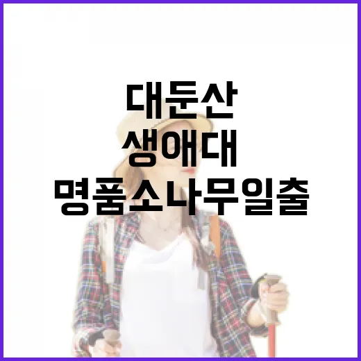 대둔산 생애대와 태고사 명품 소나무 일출 풍경