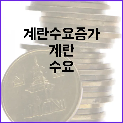 계란 수요 증가에 맞춘 생산 확대 방안