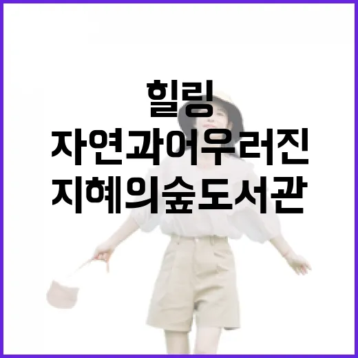 강화 지혜의숲도서관, 자연과 어우러진 힐링 명소