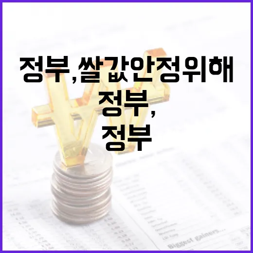 정부, 쌀값 안정 위해 모니터링 강화