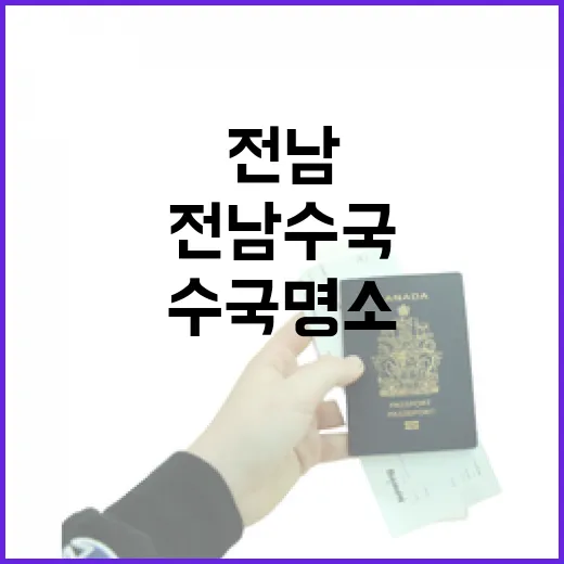 전남 수국 명소에서 여름 감성 사진 찍기