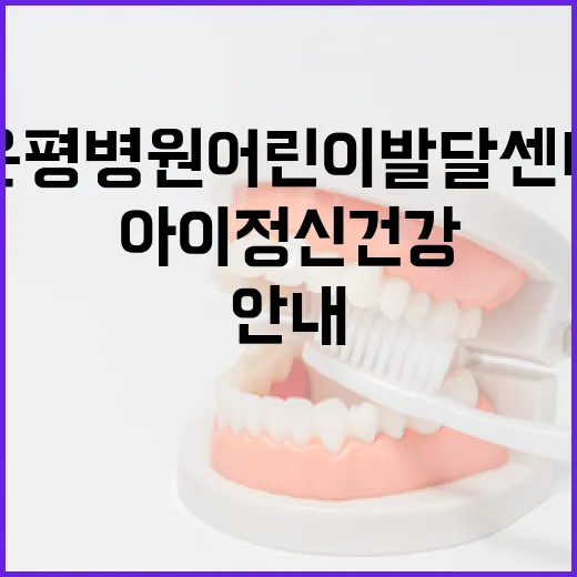 은평병원 어린이발달센터, 아이 정신건강 프로그램 안내