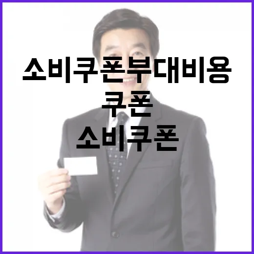 행안부, 소비쿠폰 부대비용 필수성 강조