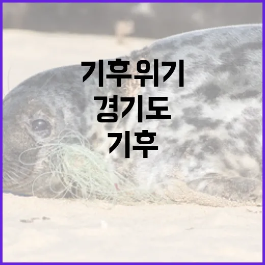 경기도, 기후위기 극복 위한 혁신 경제 전략