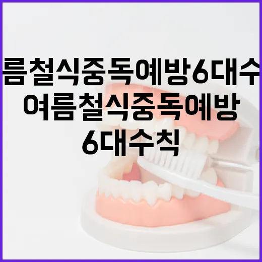 여름철 식중독 예방 6대 수칙 집중 점검