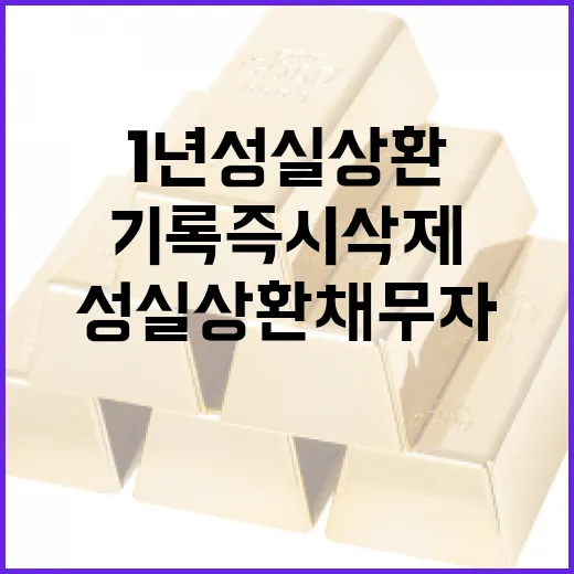 1년 성실상환 채무자 기록 즉시 삭제 추진