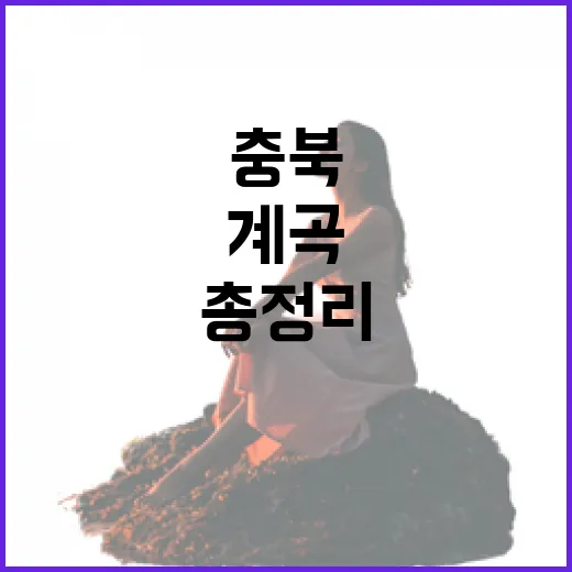 충북 여름 계곡 명소 총정리