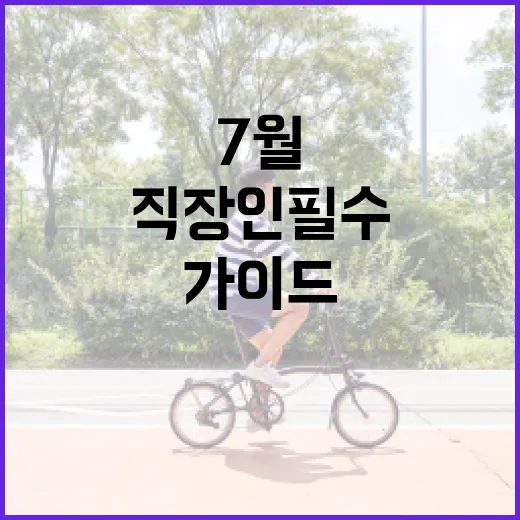 직장인 필수 건강 습관 7월 가이드
