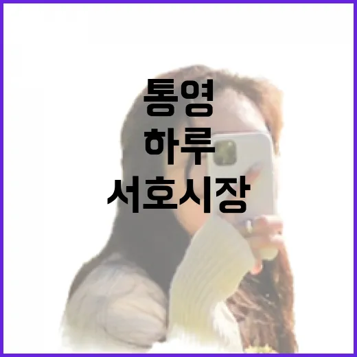 통영 서호 시장과 바다에서의 느린 하루