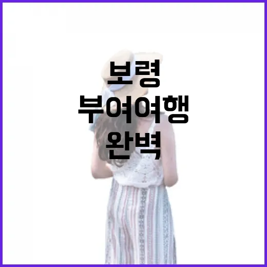 보령·부여 여행 완벽 가이드