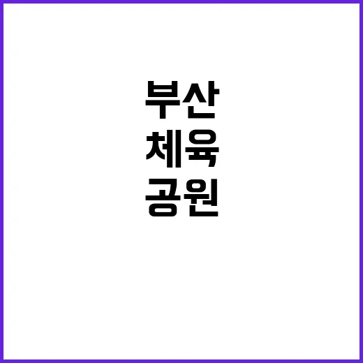 부산 공원서 펼쳐지는 다채로운 문화·체육 프로그램