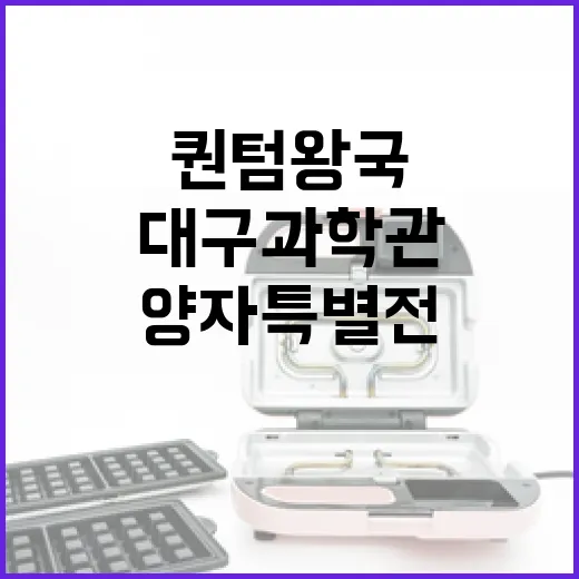 대구과학관 양자특별전, 퀀텀 왕국 체험