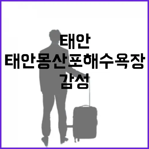 태안 몽산포해수욕장, 감성 가득한 노을 명소