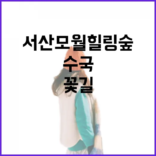 서산 모월힐링숲 수국꽃길 산책기