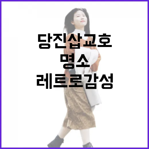 당진 삽교호, 레트로 감성 노을 명소