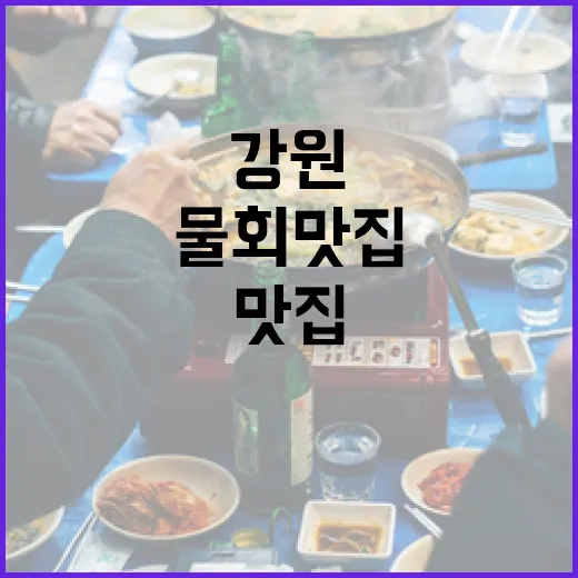 강원 바다의 시원한 물회 맛집 총집합