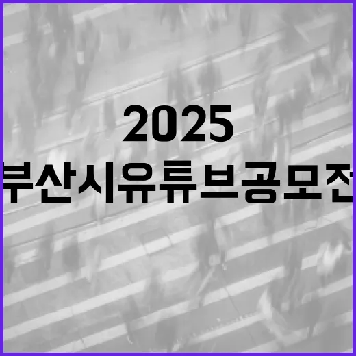 2025 부산시 유튜브 공모전 늘노풀 부산 찾기