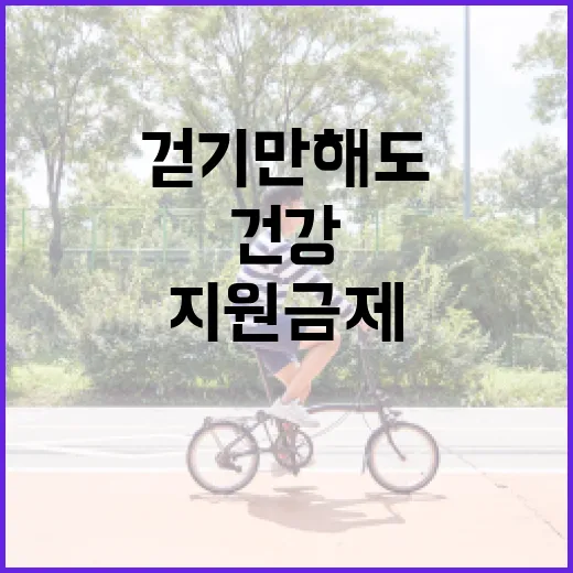 걷기만 해도 포인트 쌓이는 건강지원금제