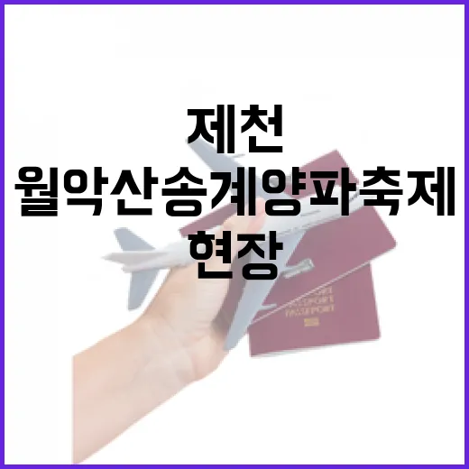 제천 월악산 송계양파축제 현장 풍경